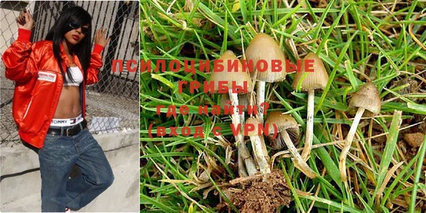 гашиш Алексеевка