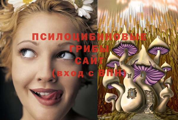 ECSTASY Алексин
